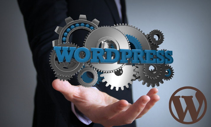 إصلاح مشكلات موقع WordPress الخاص بك